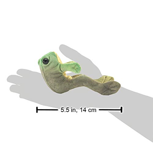 Folkmanis Mini Sitting Frog, Green/A