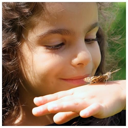 Insect Lore Raise & Release Butterfly Garden Kit – STEM Caterpillar Habitat with Voucher for Kids, Classrooms & Homeschool Learning
