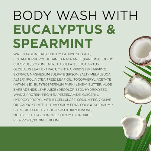 Dr Teal's Body Wash with Pure Epsom Salt, Relax & Relief with Eucalyptus & Spearmint, 24 fl oz (Pack of 2)