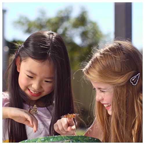 Insect Lore Raise & Release Butterfly Garden Kit – STEM Caterpillar Habitat with Voucher for Kids, Classrooms & Homeschool Learning
