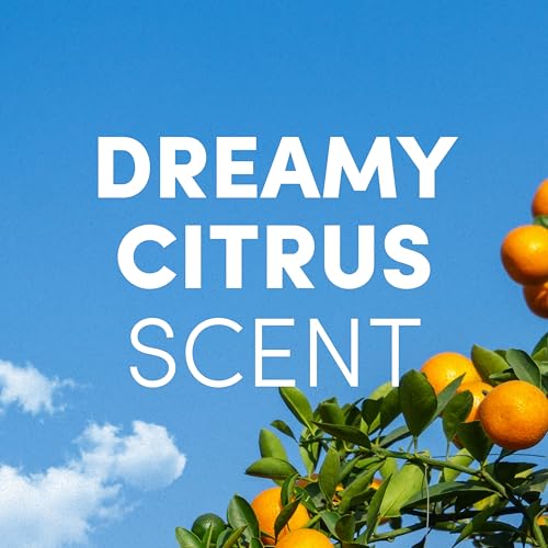 Clean Revolution Foaming Hand Soap Refill Supply Container, Ready to Use Formula, Dreamy Citrus Fragrance, Gluten Free, 128 Fl. Oz