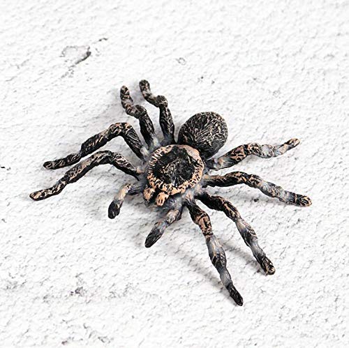 FLORMOON Realistic Spider & Insect Figures – Lifelike Animal Toy Set for Kids, Toddlers, Educational & Birthday Play (Giant Whiteknee)
