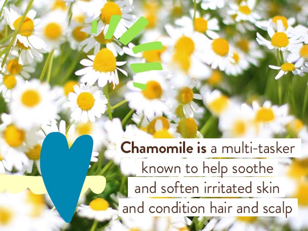 Babo Botanicals Baby Mineral Sunscreen SPF 50 – Natural Zinc Oxide, Fragrance-Free, Water-Resistant, Vegan Sunblock for Sensitive Skin, Kids & Babies