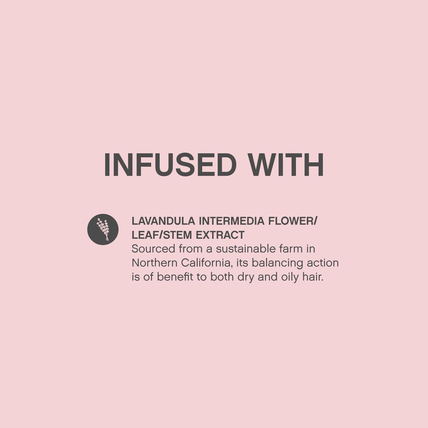 KEVIN.MURPHY ANTI.GRAVITY Volumizing & Texturizing Lotion | Adds Volume, Shine & Texture | Reduces Flyaways | Sulfate & Paraben Free | 150mL