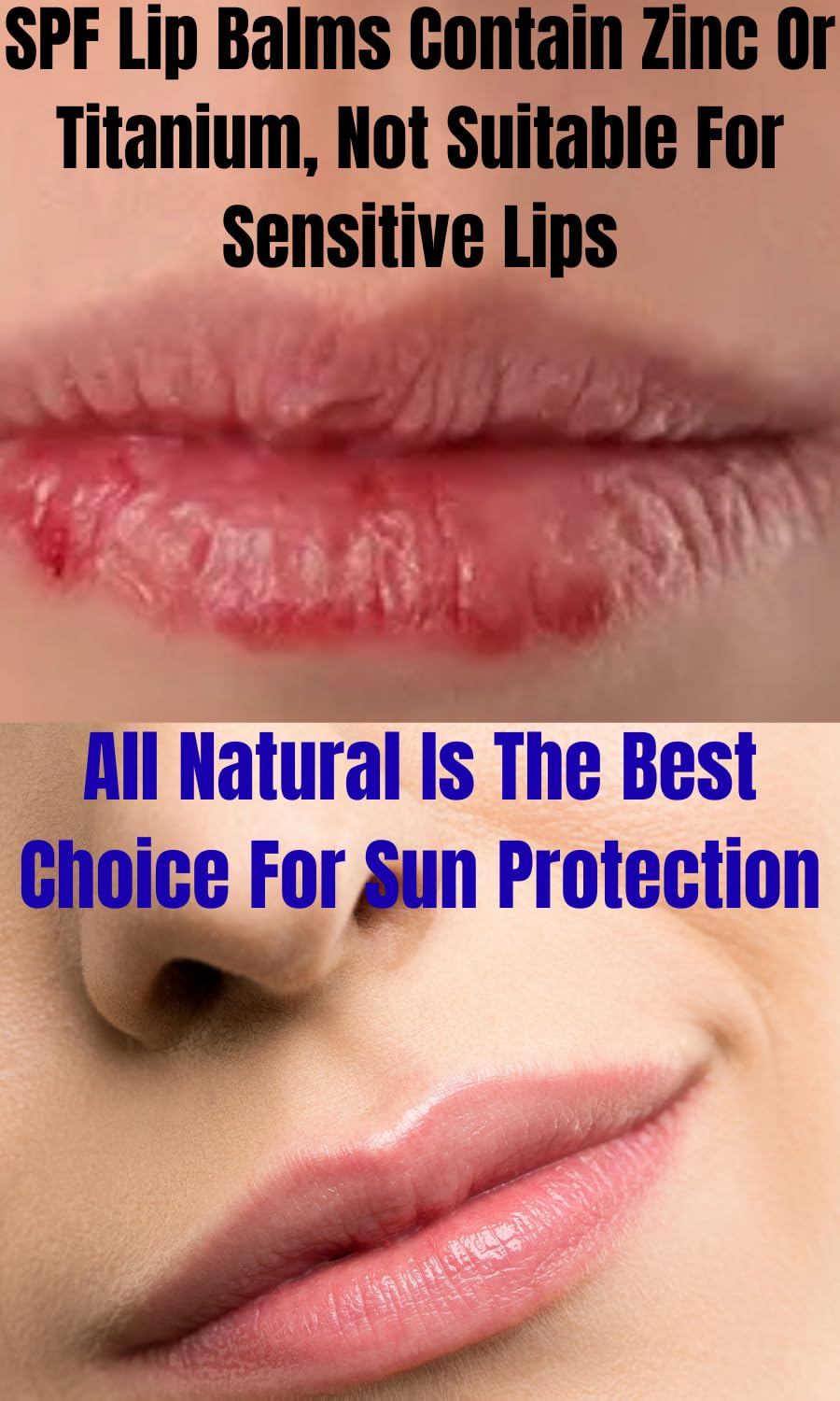 Sweet Almond & Coconut Oil Moisturizing Lip Balm, Natural with Shea Butter, Aloe, Vitamin E, 4-Pack, 0.15 oz