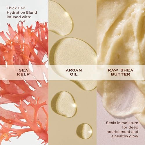 SheaMoisture Raw Shea Butter Deep Moisturizing Hair Masque 11.5 oz | Deep Conditioner for Curly Hair | Hydrating, Organic & Cruelty-Free