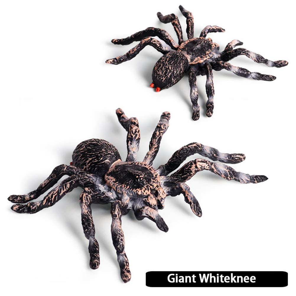 FLORMOON Realistic Spider & Insect Figures – Lifelike Animal Toy Set for Kids, Toddlers, Educational & Birthday Play (Giant Whiteknee)