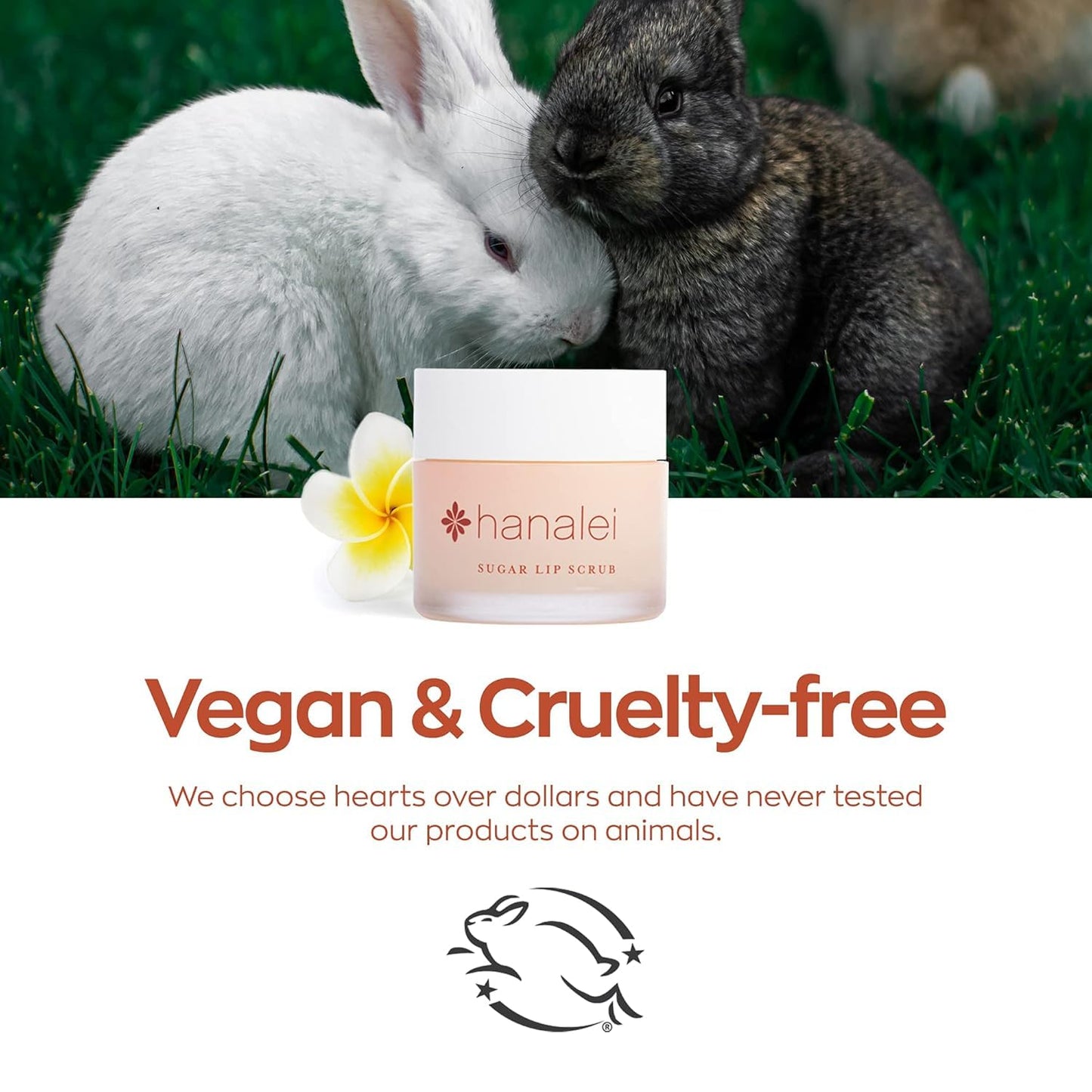 Hanalei Vegan Sugar Lip Scrub, 22g – Hawaiian Cane Sugar, Kukui Oil & Shea Butter, Natural, Cruelty-Free, Smooths & Hydrates Lips