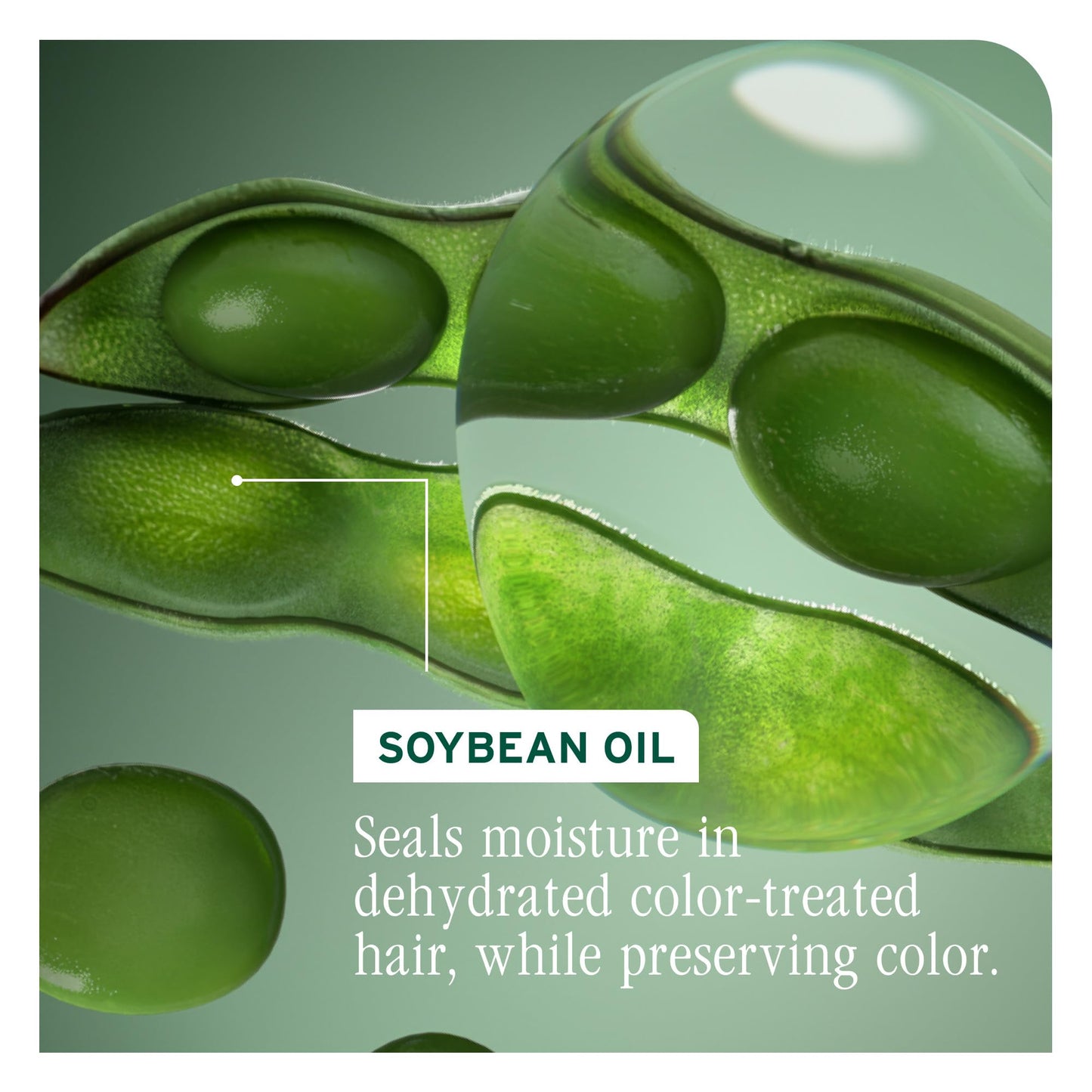 Biolage Color Last Conditioner | Color Safe, Paraben & Silicone-Free | Maintains Color Depth & Shine | Vegan, Cruelty-Free | 33.8 Fl Oz