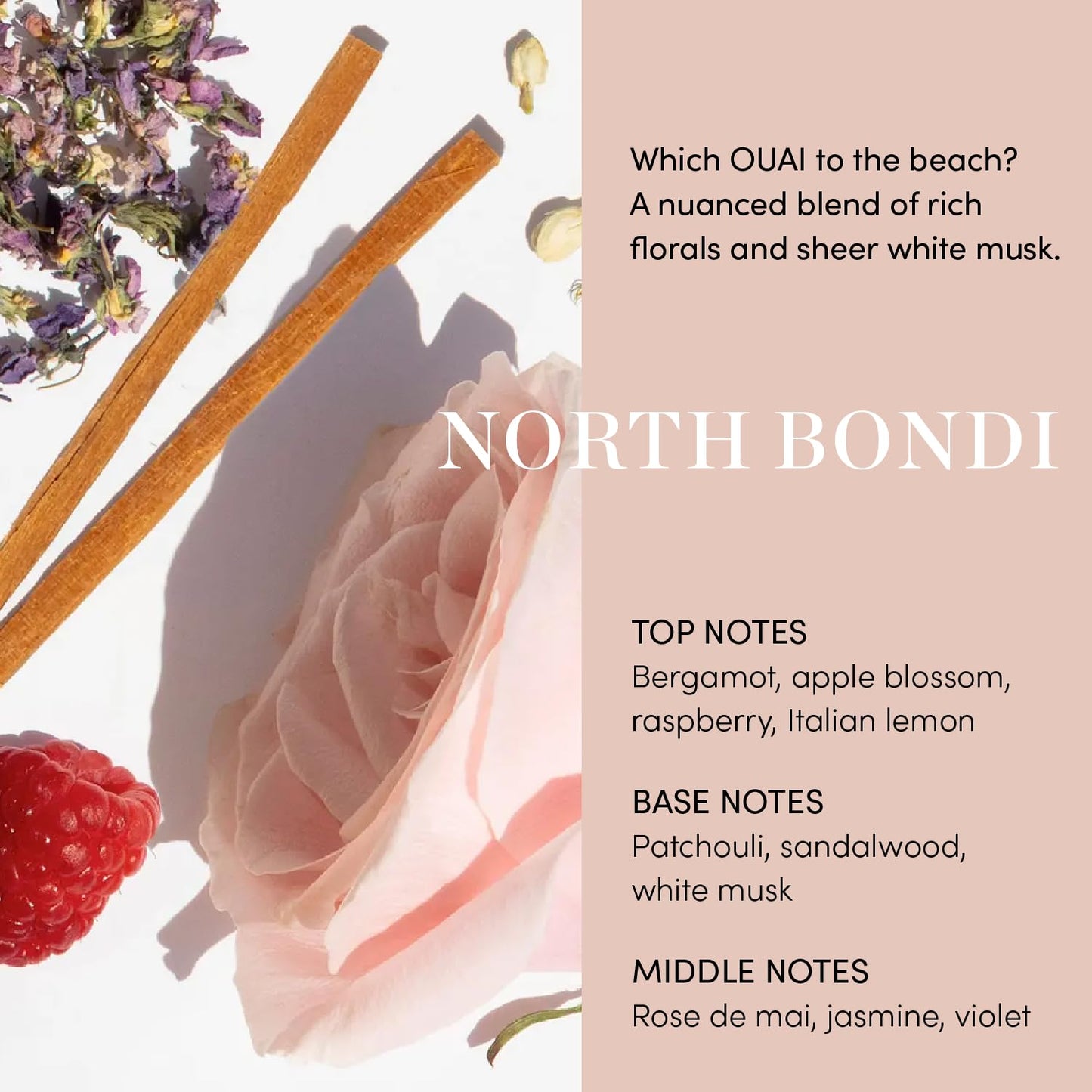 OUAI Curl Cream - Curl Defining Cream with Babassu, Coconut, Linseed & Chia Seed Oils - Hydrating, Shine-Boosting, Silicone & Sulfate Free (8 Oz)