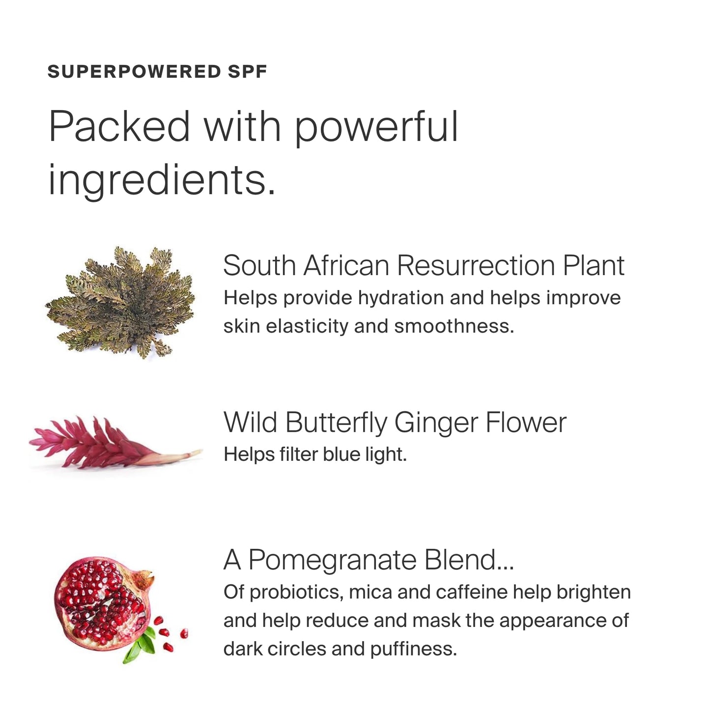 Supergoop! Bright-Eyed Mineral Eye Cream SPF 40 PA+++ – Hydrating, Illuminating Under-Eye Cream for Dark Circles & Puffiness, 0.5 fl oz