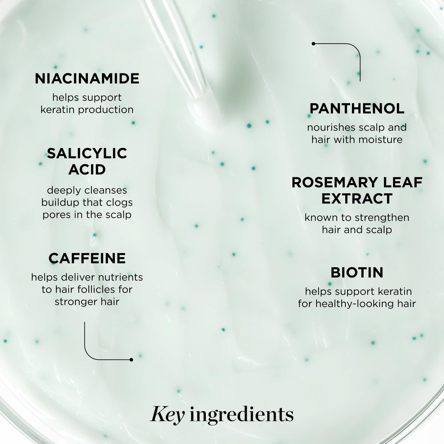 Dr. Groot Hair Thickening Conditioner – Biotin Scalp Treatment for Hair Loss & Thinning Hair, Korean Hair Care, Reduces Oil, Clinically Tested