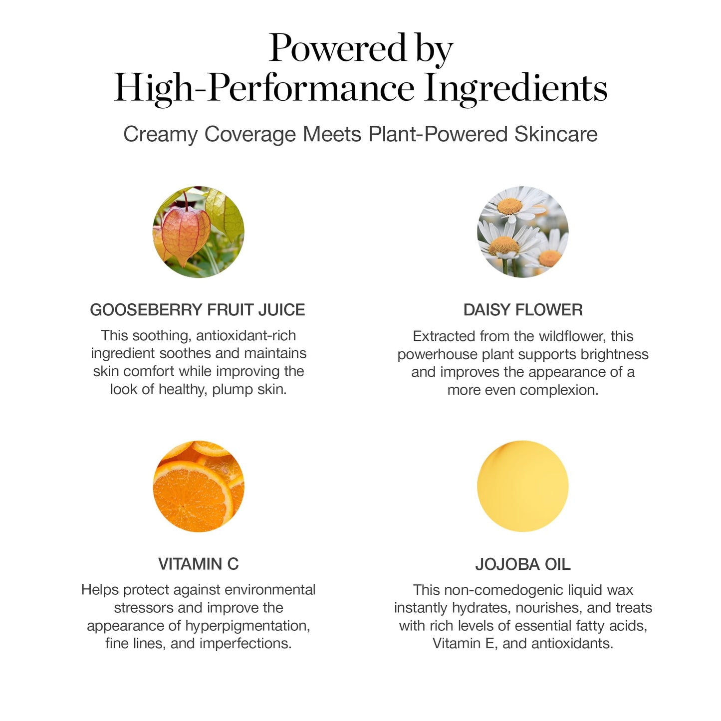 Ogee Complexion Perfecting Liquid Foundation – Lightweight Tinted Moisturizer, Vitamin C & Jojoba Oil, Linden 1.25N Light Beige, Organic