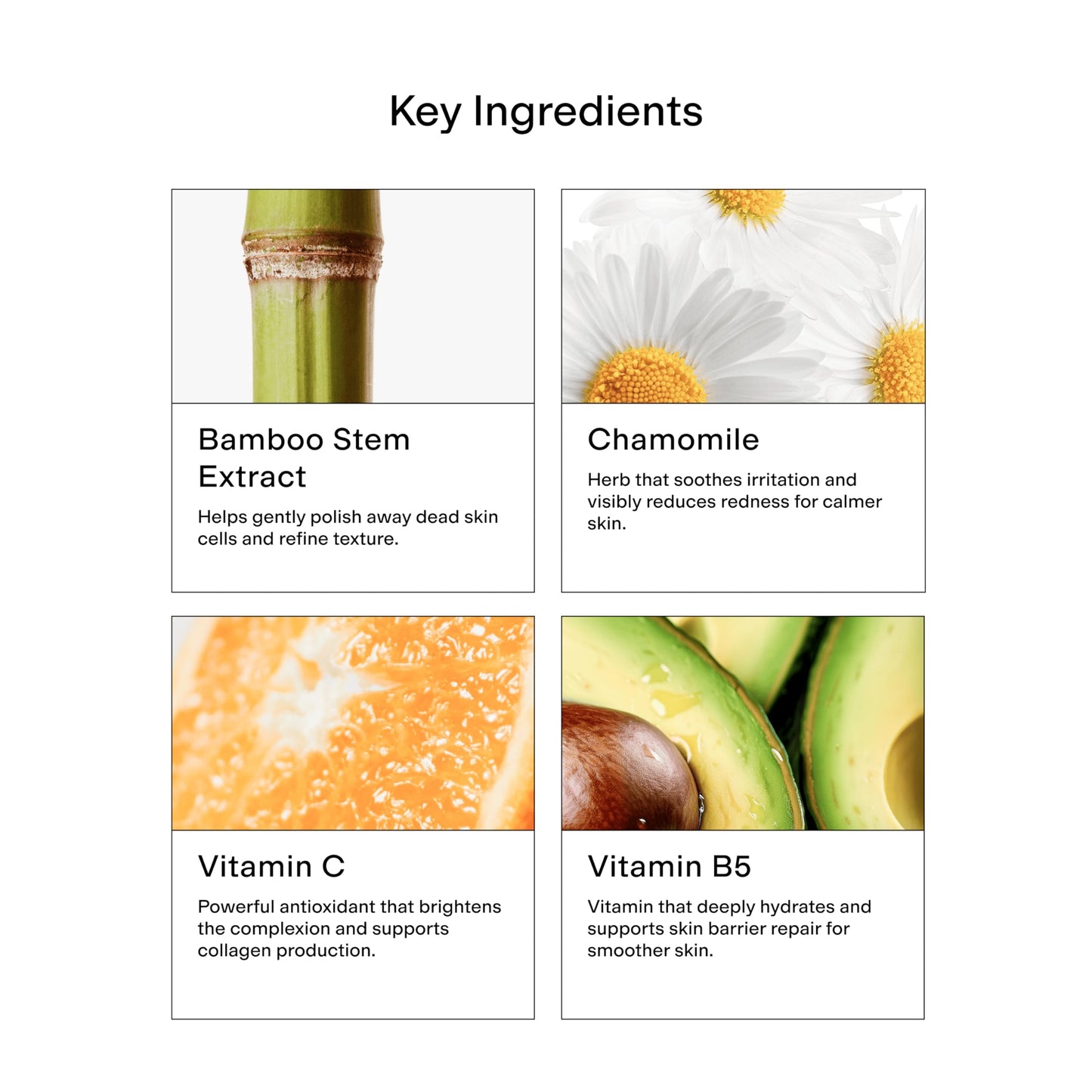 CLEARSTEM VITAMINSCRUB - Antioxidant Face & Body Exfoliating Cleanser with Vitamin C, Hemp & Bamboo, Gluten-Free, Cruelty-Free, 6 fl oz