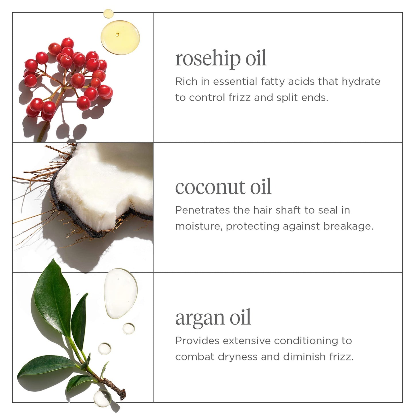 Briogeo Farewell Frizz Rosarco Milk Leave-In Spray – Anti-Frizz Conditioner & Hair Detangler with Argan Oil, Vegan, Cruelty-Free, 5 fl oz