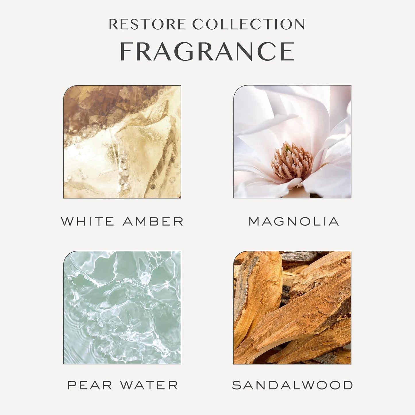 Kristin Ess Hydrating Leave-In Conditioner Spray | Lightweight Anti-Frizz Detangler | Strength & Shine | Castor Oil Moisture Repair | Sulfate-Free, Color-Safe