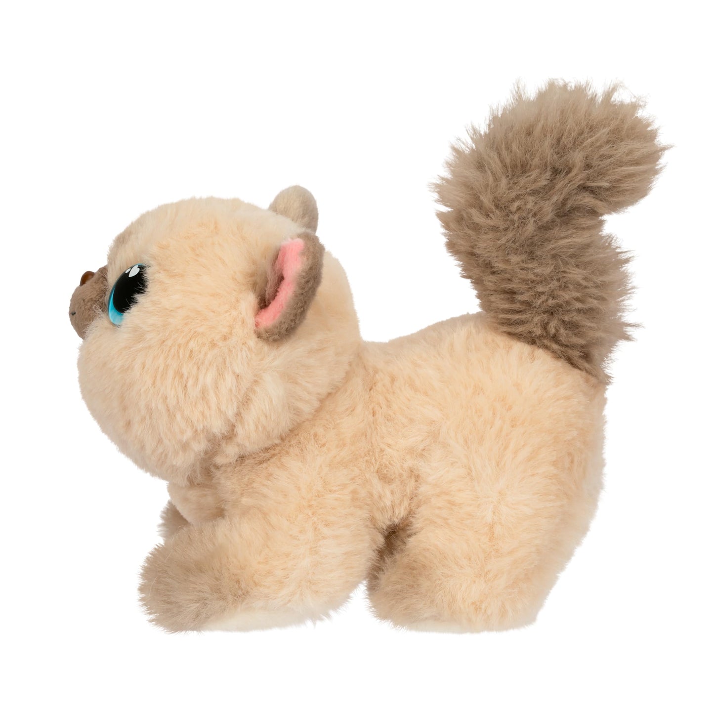 Little Live Pets My Kitty's Home Playset – Mystery Kitty Plush Reveal, Build & Decorate Pet Carrier, Cat House Toys for Kids 5+