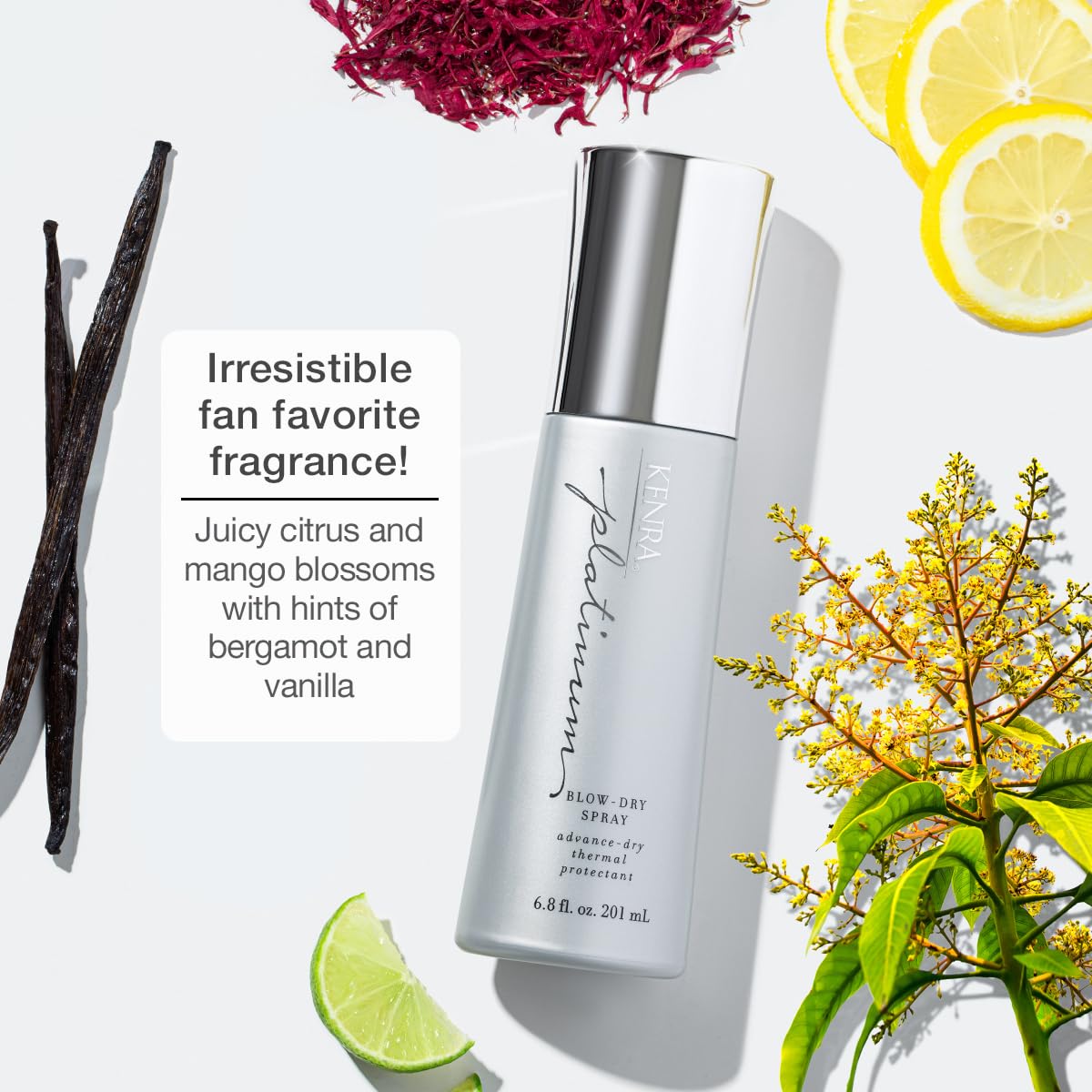 Kenra Platinum Blow-Dry Spray – Heat Protectant for Medium to Coarse Hair, Speeds Drying, Smooths, Detangles, Fights Frizz & Humidity, 6.8 fl oz