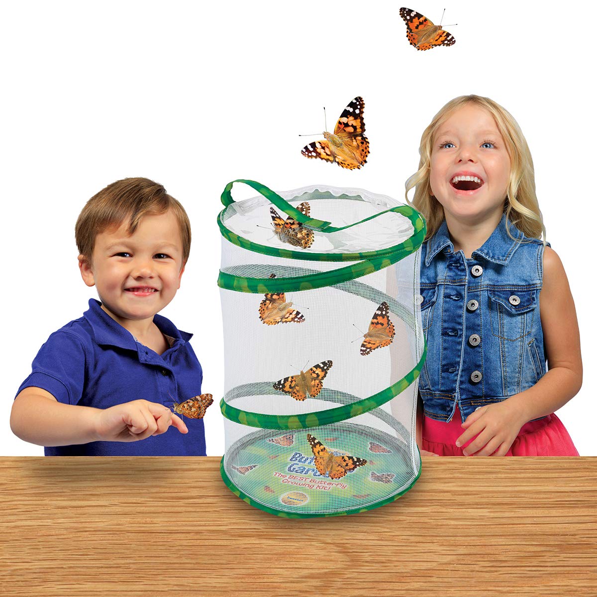 Insect Lore Butterfly Garden Habitat - Washable, Reusable, Folds Flat - Medium 12 Inch Butterfly Growing Habitat