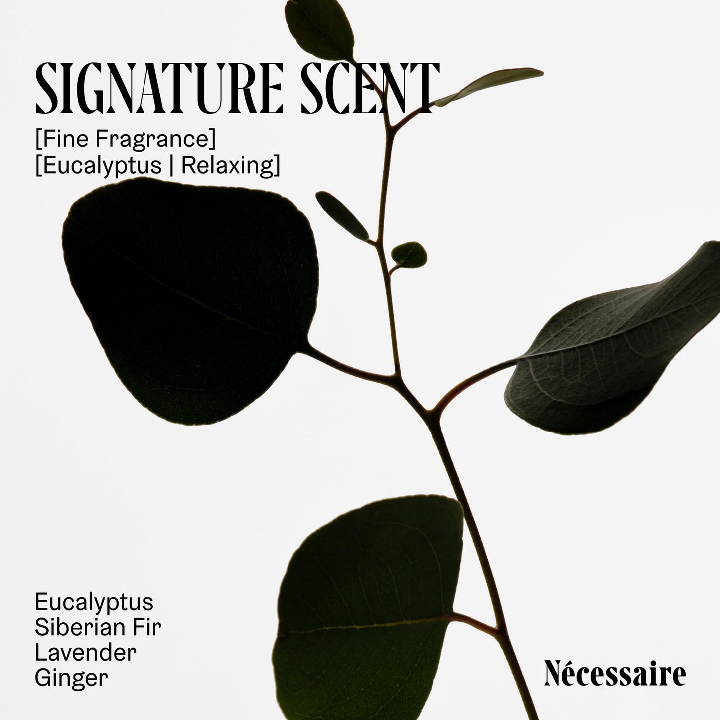 Nécessaire The Body Wash Eucalyptus — Multi-Oil Shower Gel Cleanser for Women + Men — Non-Comedogenic Body Wash with Niacinamide. 500ml/16.9 fl oz