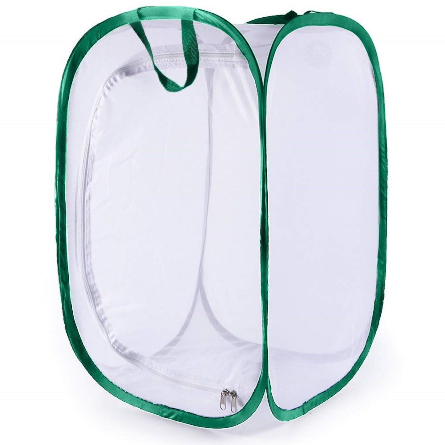 SunGrow 24" Foldable Butterfly Habitat - Cage for Caterpillars, Breeding Ladybugs, Dragonflies, Soldier & Houseflies, Green