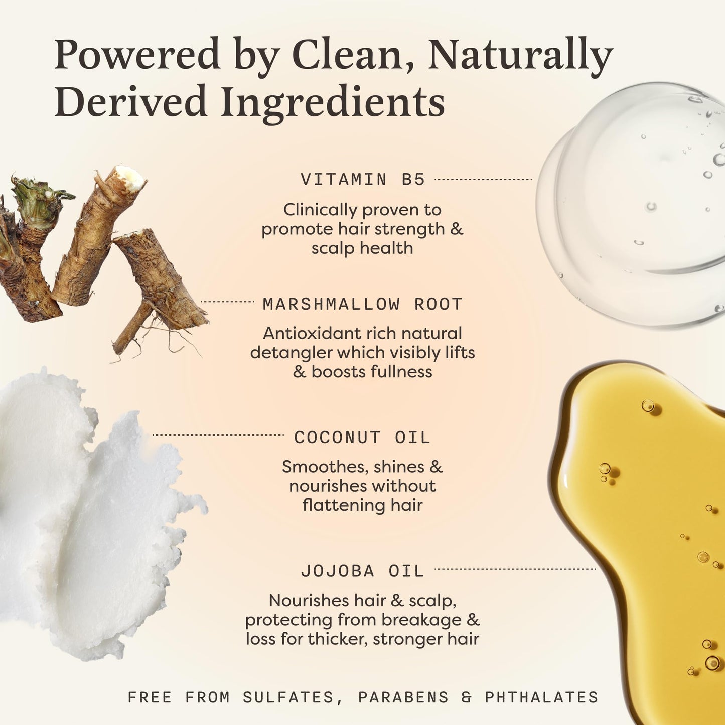 The Earthling Co. Shampoo & Conditioner Bar Set โ Strengthen, Volumize & Promote Hair Growth โ Natural, Sulfate & Paraben-Free for Dry Hair (Citrus Sun)