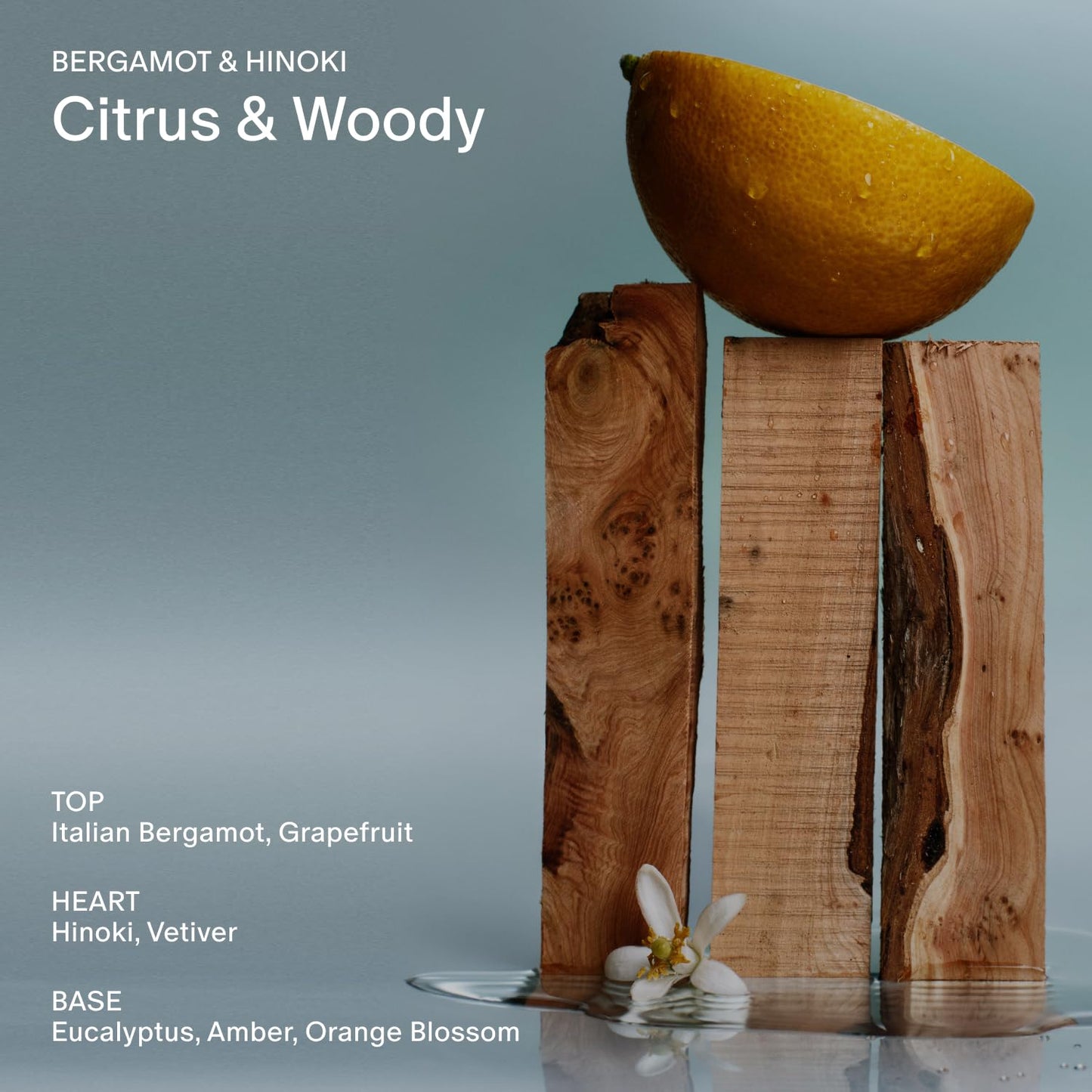 Salt & Stone Body Wash with Antioxidants – Deep Moisture, Sulfate & Paraben Free, Soft Hydrated Skin, Bergamot & Hinoki 15.2 fl oz