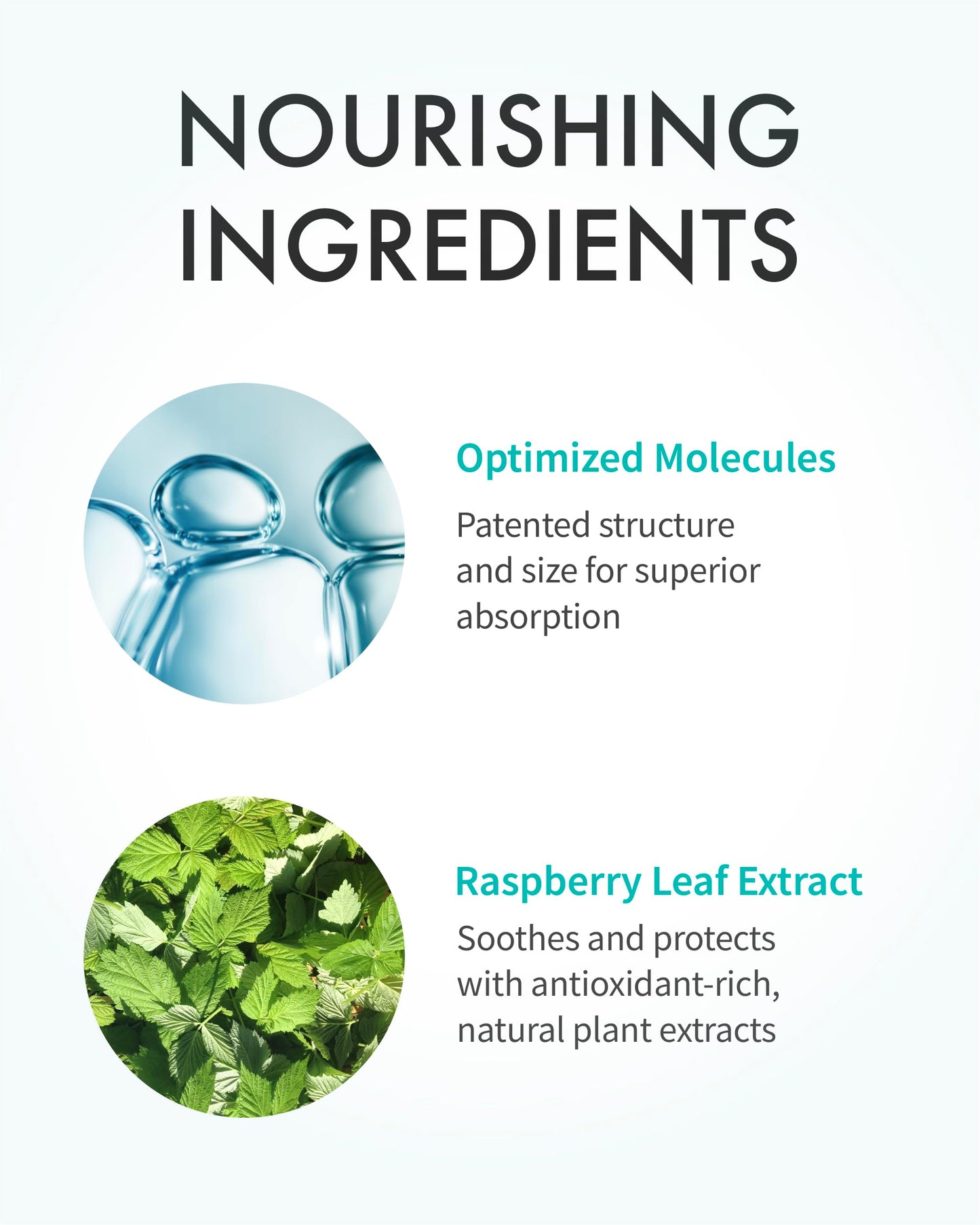 REJURAN® Turnover Ampoule c-PDRN® – Salmon DNA Face Serum for Skin Rejuvenation, Firming, Hydration & Youthful Glow, 1.01 fl oz