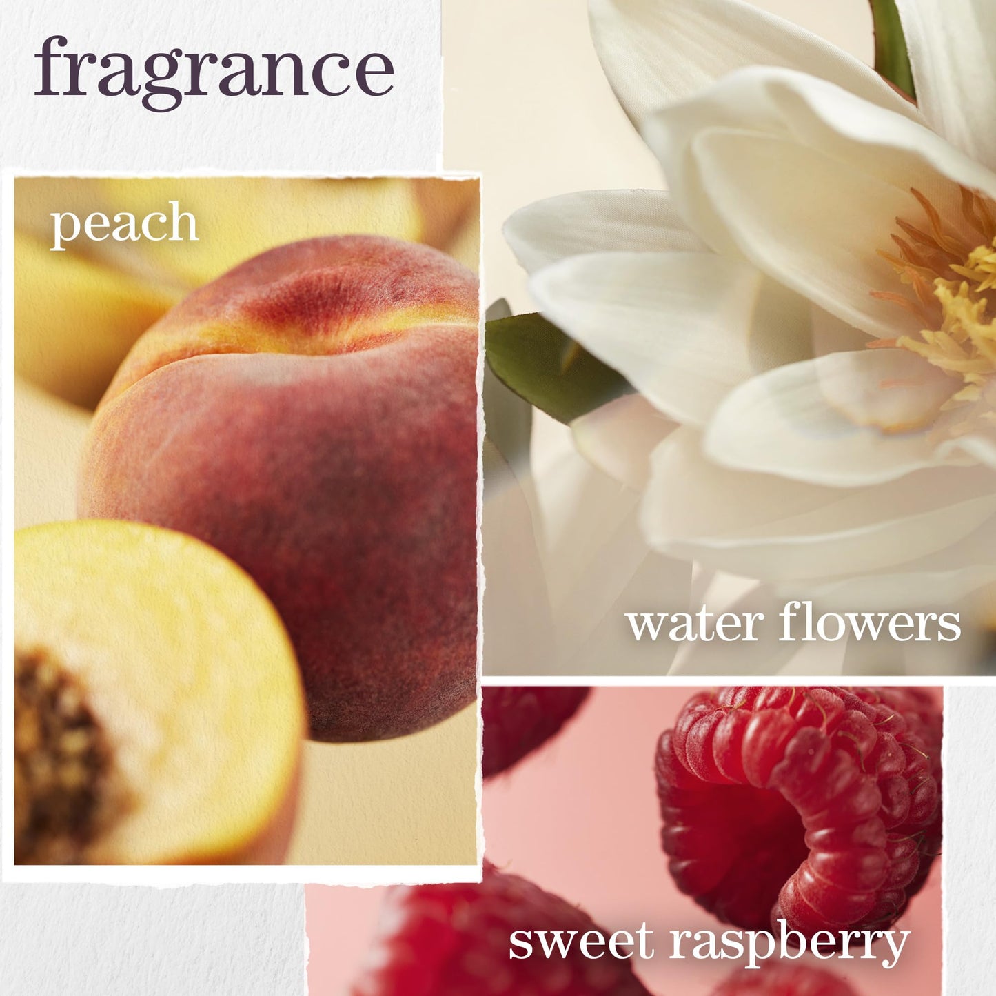 Pureology Strength Cure Conditioner - For Damaged or Color Treated Hair, Hair Strengthening & Prevents Breakage, Vegan & Sulfate-Free, 9 Fl Oz