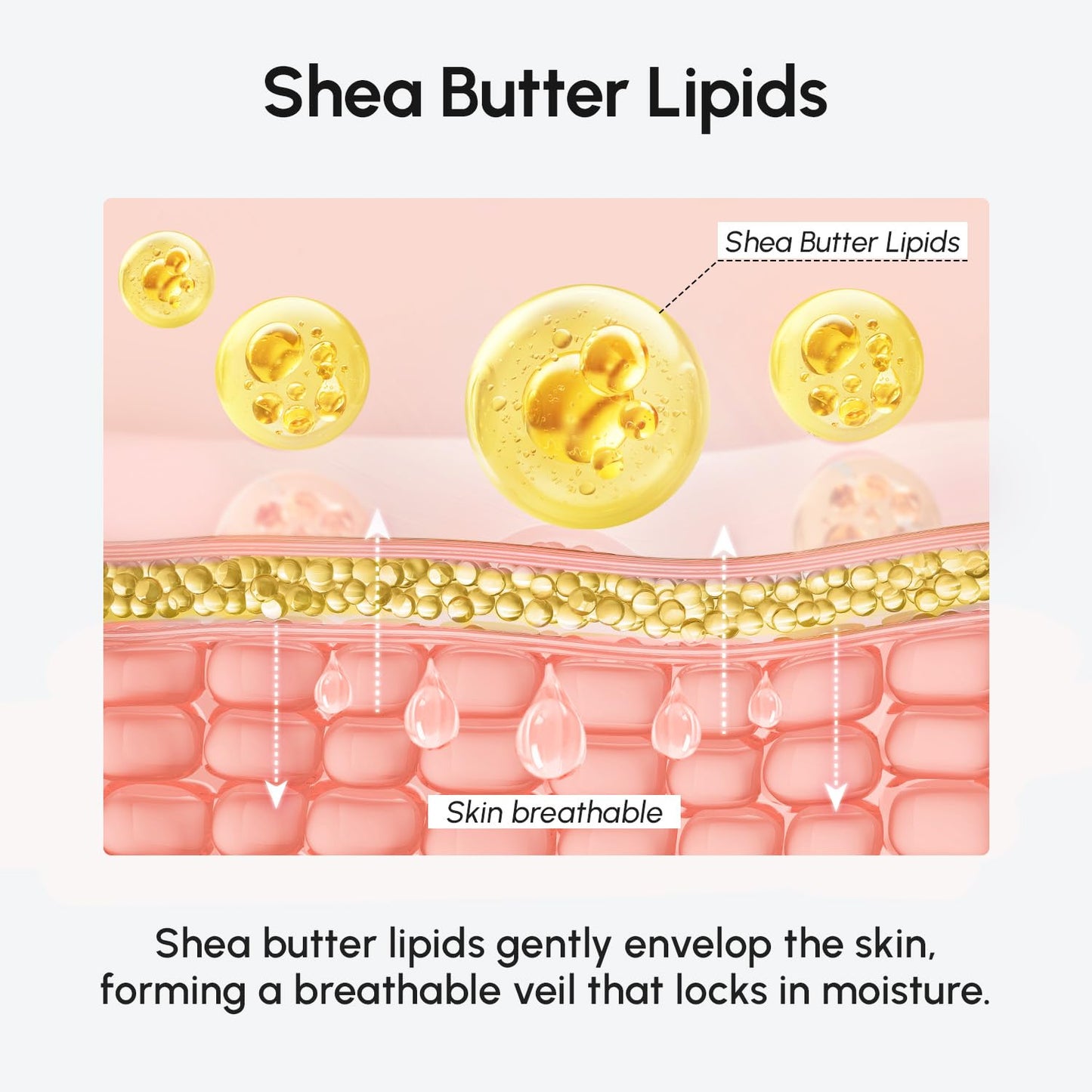 MAREE Body Mousse – Nourishing Whipped Cream for Dry Skin