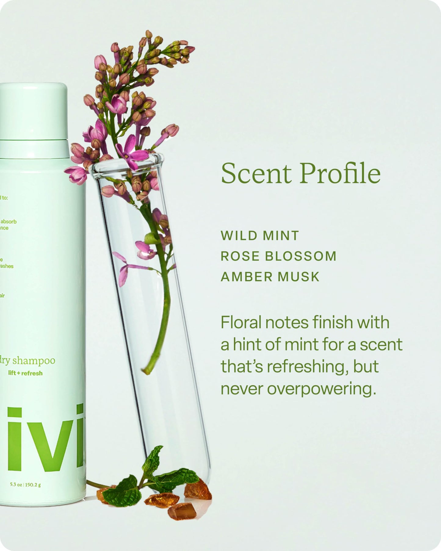 Divi Dry Shampoo Spray for Women, Oil-Absorbing & Scalp-Balancing, Extends Time Between Washes, Talc & Propane Free, 5.3oz