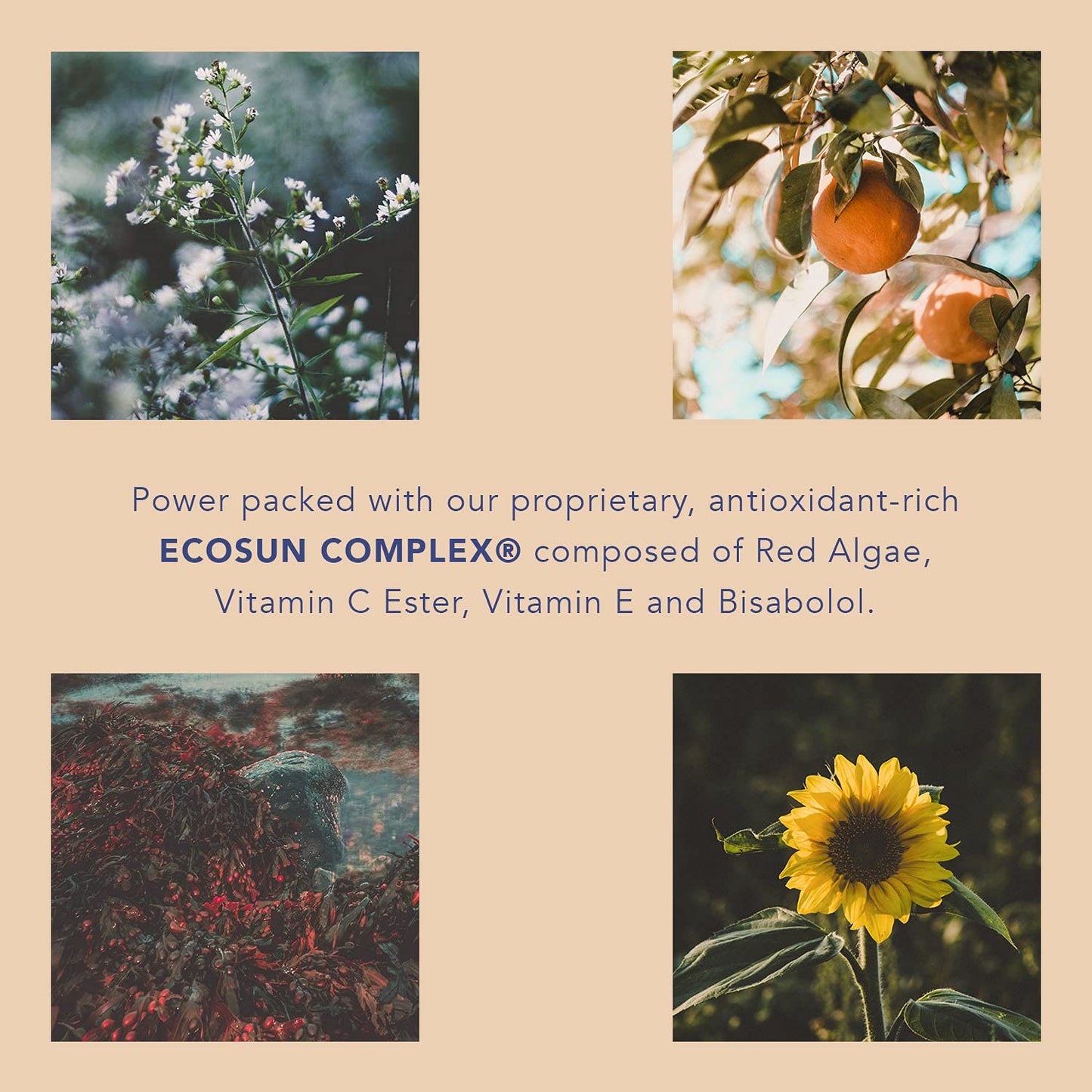 Soleil Toujours EcoSun Complex® Mineral Lip Mask SPF 15 - Peptide-Infused Clear Sunscreen Treatment for Volumizing, Collagen-Boosting & Deep Hydration