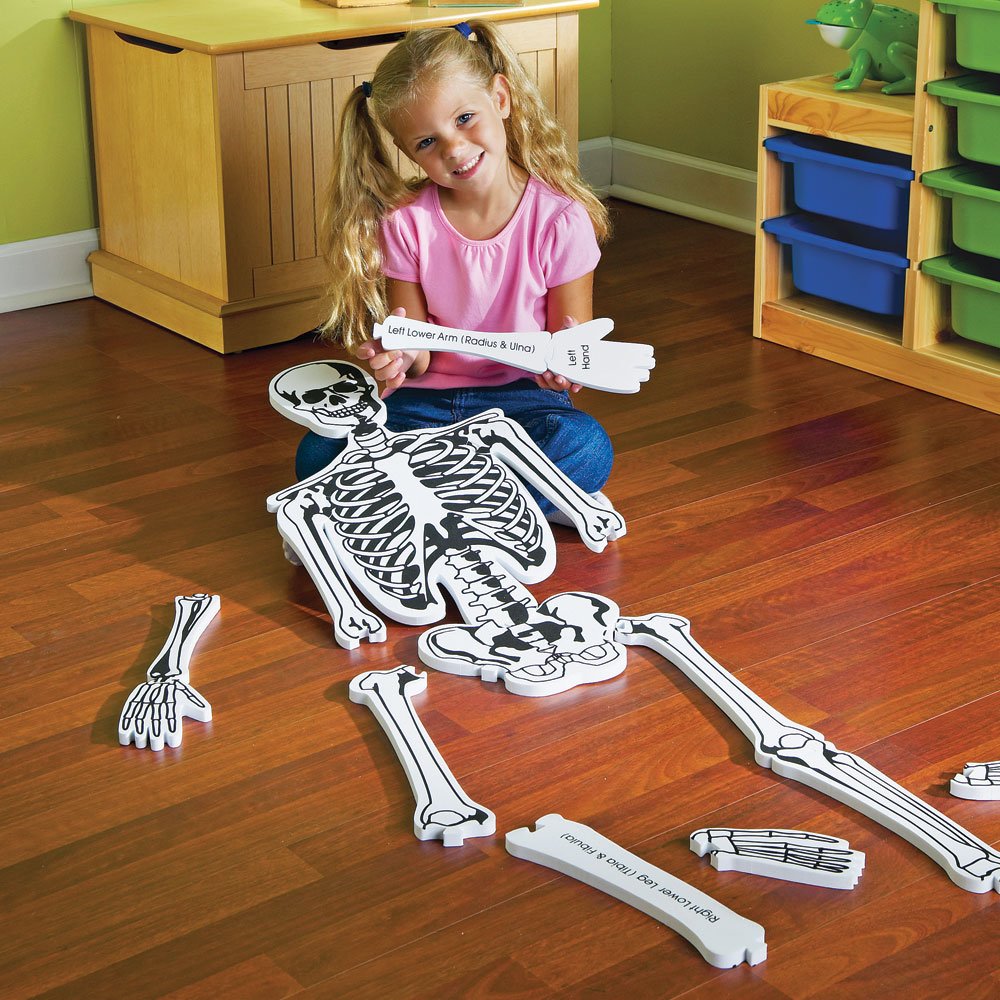 Learning Resources Skeleton Floor Puzzle, Homeschool Accessory, Anatomy Puzzle, Floor Puzzle, 15 Pieces, Ages 3+