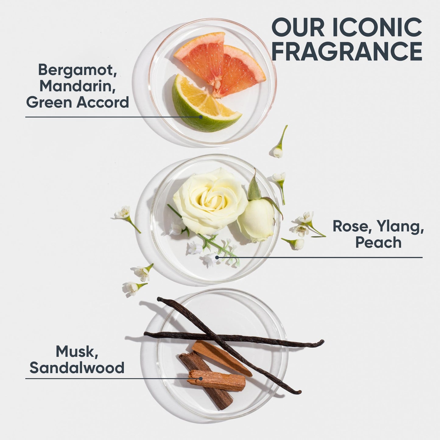 Biolage Strength Recovery Leave-In Conditioner Spray | Heat Protectant, Detangler & Blowout Primer | Strengthens & Prevents Damage | 7.8 Fl Oz