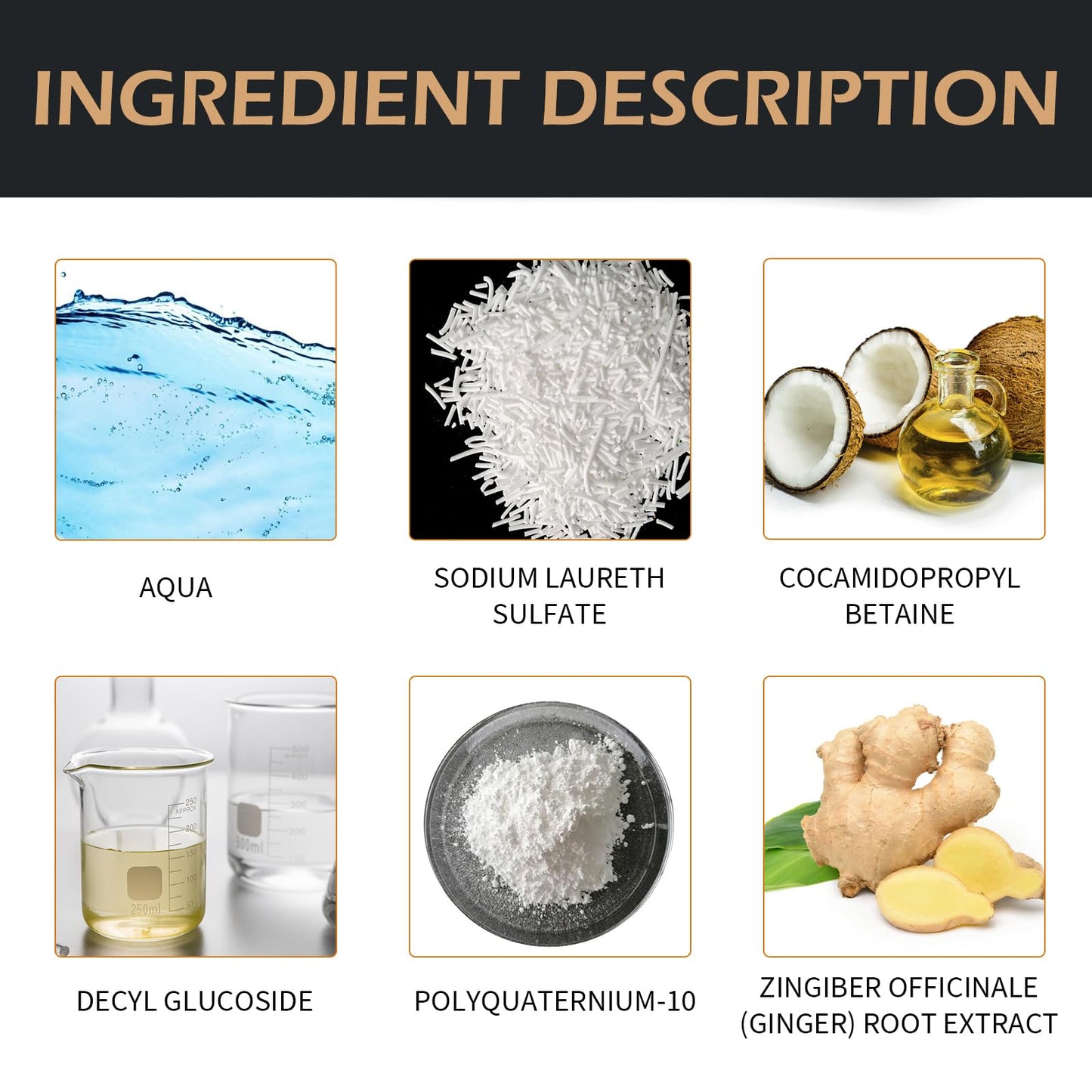 Root Activator Shampoo 2PCS – Anti Hair Loss & Shedding Treatment | Natural Regrowth Formula | Thickening, Nourishing & Smoothing for All Hair Types