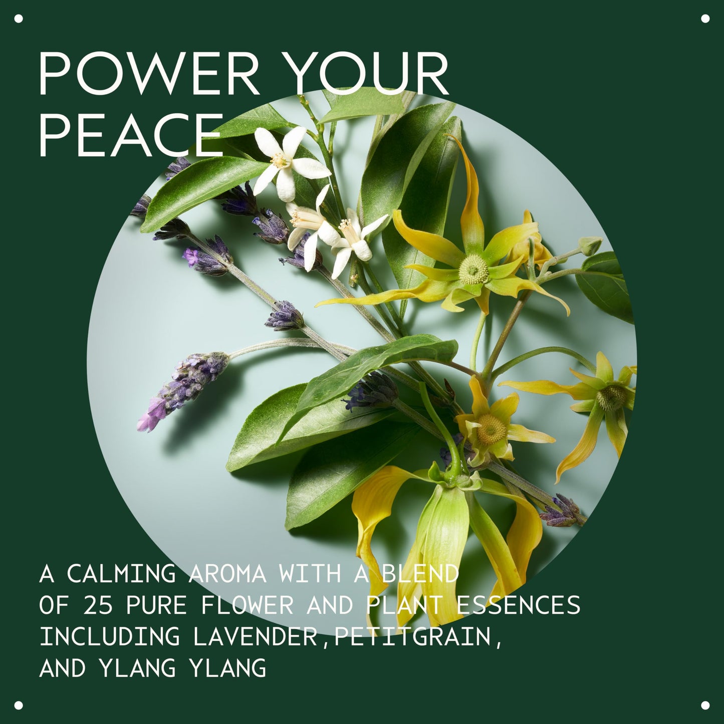 Aveda Heat Relief Thermal Protector & Conditioning Mist 3.4 fl oz | 97% Naturally Derived | Protects from Heat, Adds Shine & Softness