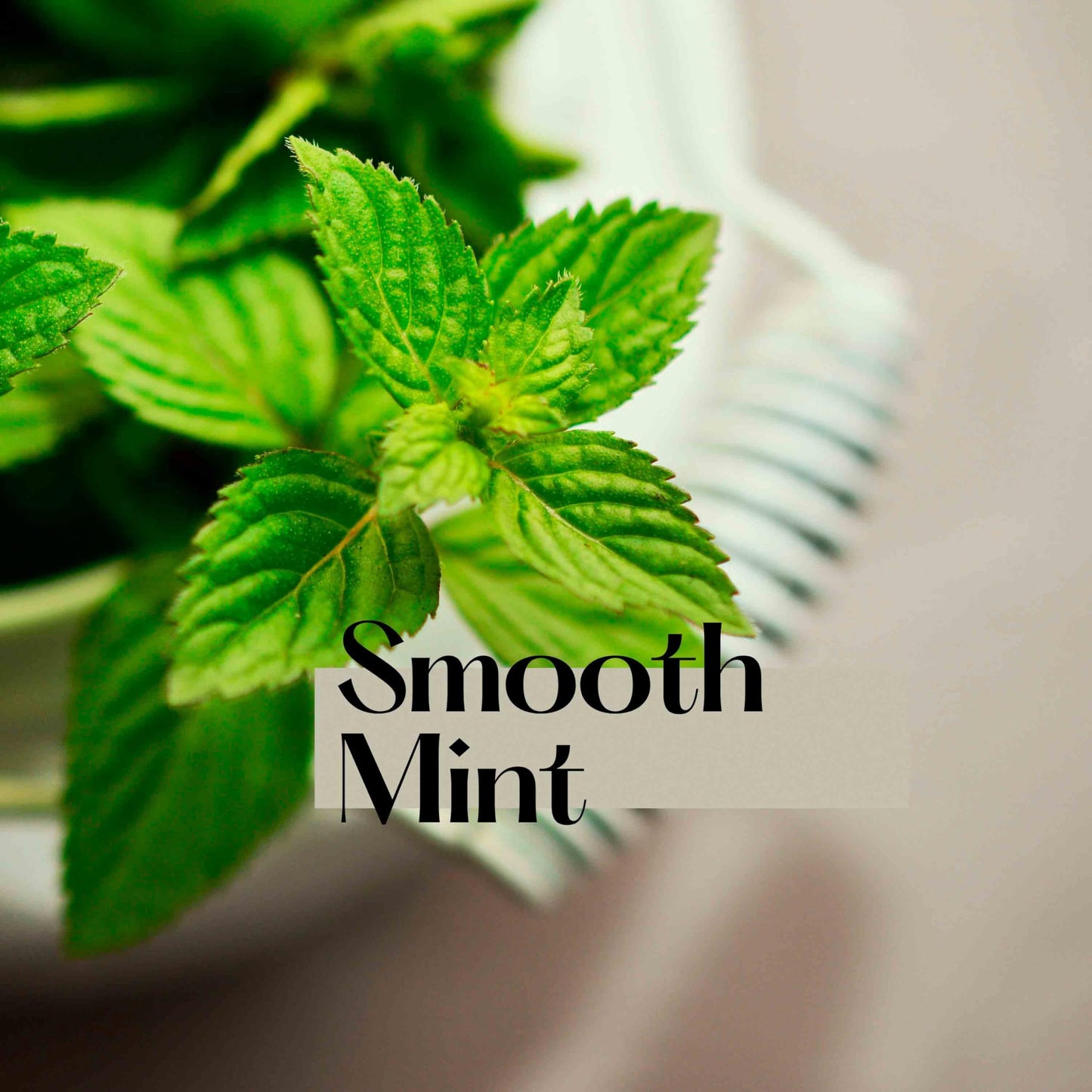 FANMATS 37420 NFL - Los Angeles Rams SPF 15 Lip Balm 2-pk | Royal Blue | 2.5"x 1" | Ram Head Secondary Logo