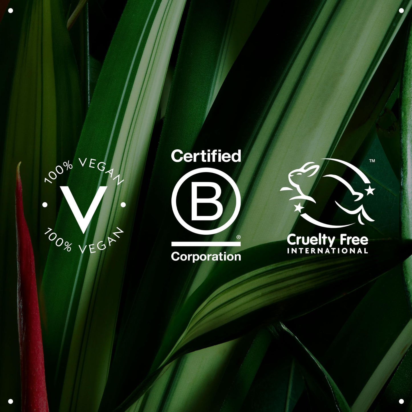 Aveda Light Elements Texturizing Creme | Hair Styling Wax | Light Hold | for All Hair Types, 2.5 Fl Oz