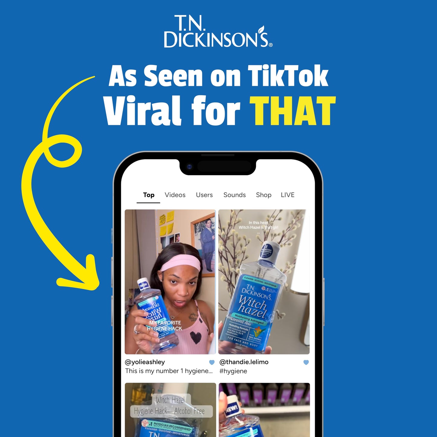 T.N. Dickinson's Alcohol-Free Witch Hazel Astringent – 100% Natural, Hydrates & Soothes Face & Body, 16 Fl Oz