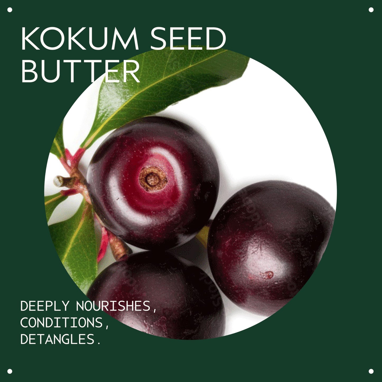 Aveda Be Curly Advanced Curl Enhancer Cream | Defines Curls & Waves, Reduces Frizz, Adds Shine | Silicone-Free, 98% Naturally Derived, 1.3 Fl Oz