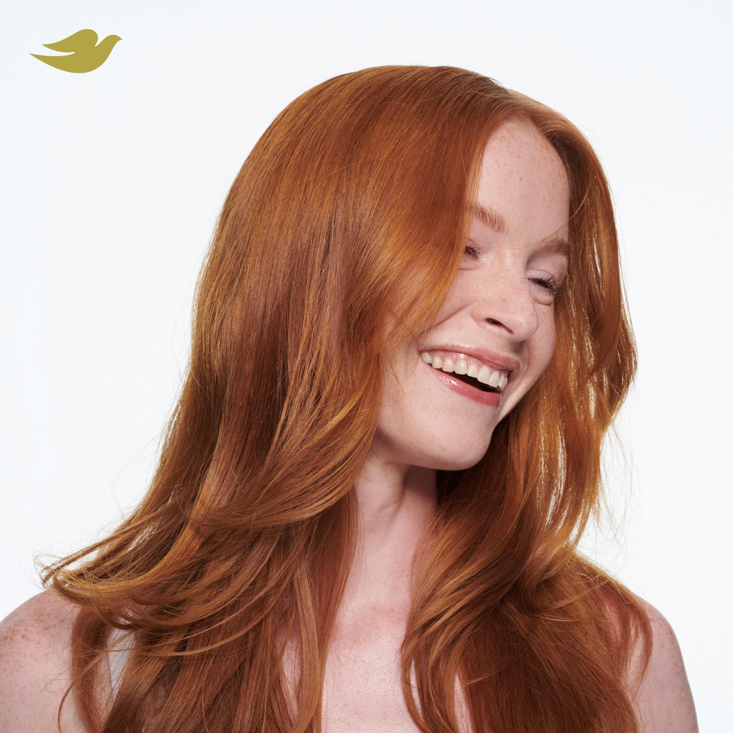 Dove Advanced Dry Shampoo Fresh Coconut Refresh & Revive Hair Without Water for Clean & Fresh Hair 7.3 oz