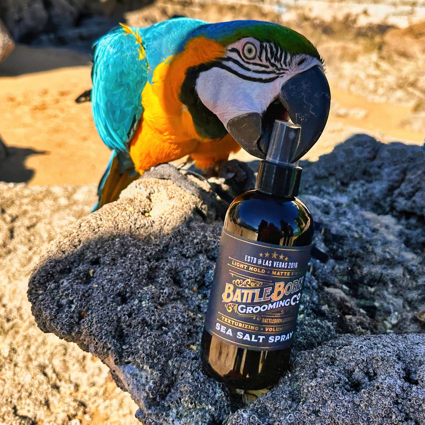 Battle Born Grooming Co Sea Salt Spray (Unscented, 8 fl oz) – Natural Vegan Texturizing Spray for Beach Waves, Volume & Thickness – Unisex