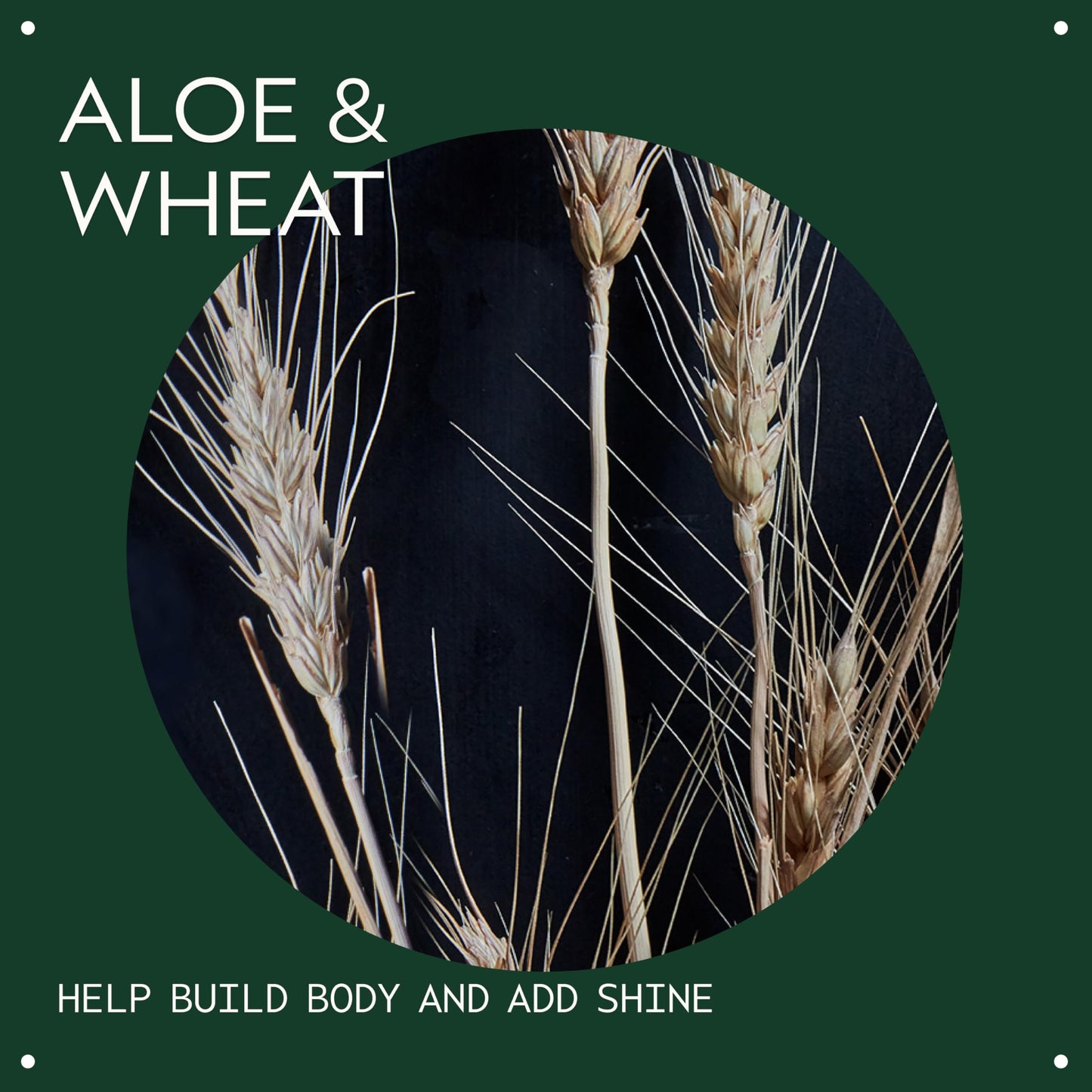 Aveda Volumizing Tonic | Volume Spray for Thin and Fine Hair Types, 3.4 Fl Oz