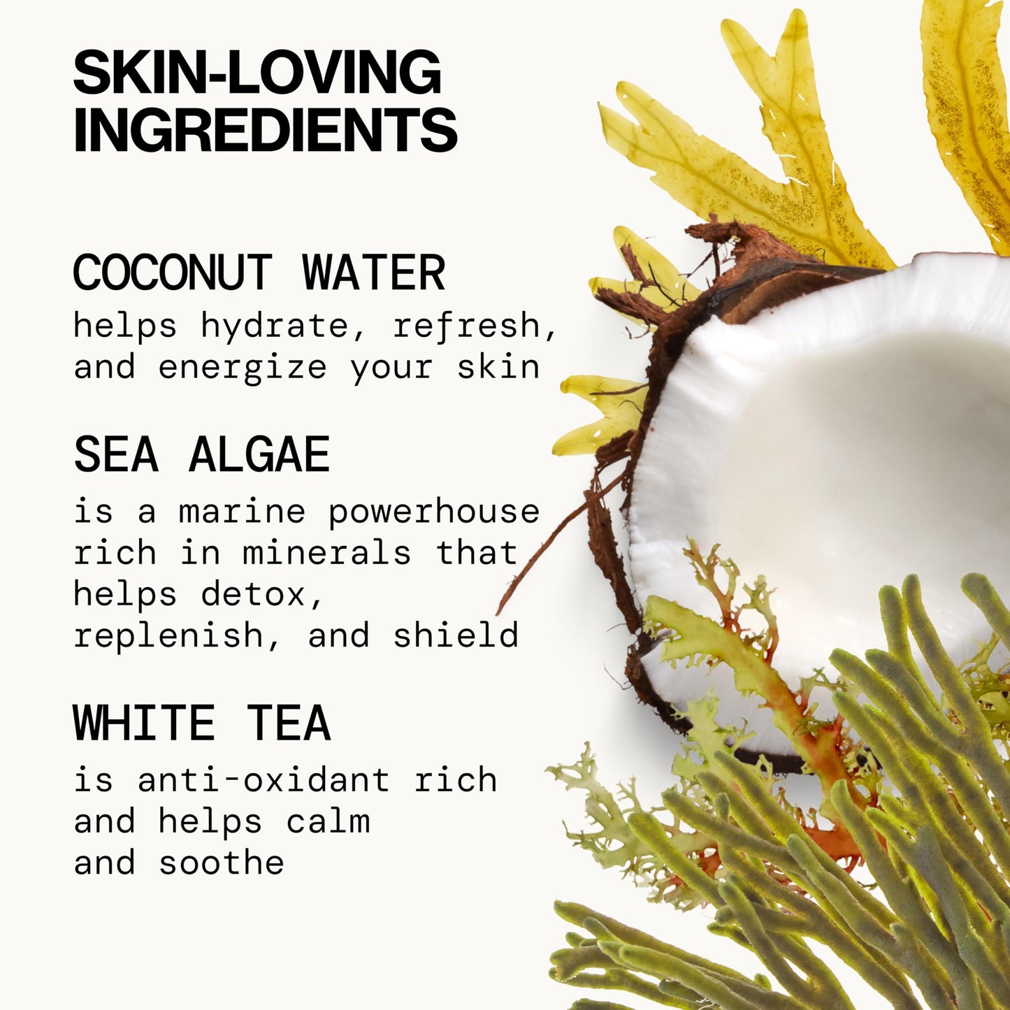 Pacifica Sea Foam Face Cleanser – Gentle Daily Foaming Wash with Coconut Water & Sea Algae, Removes Makeup, Vegan, Oily/Combo Skin