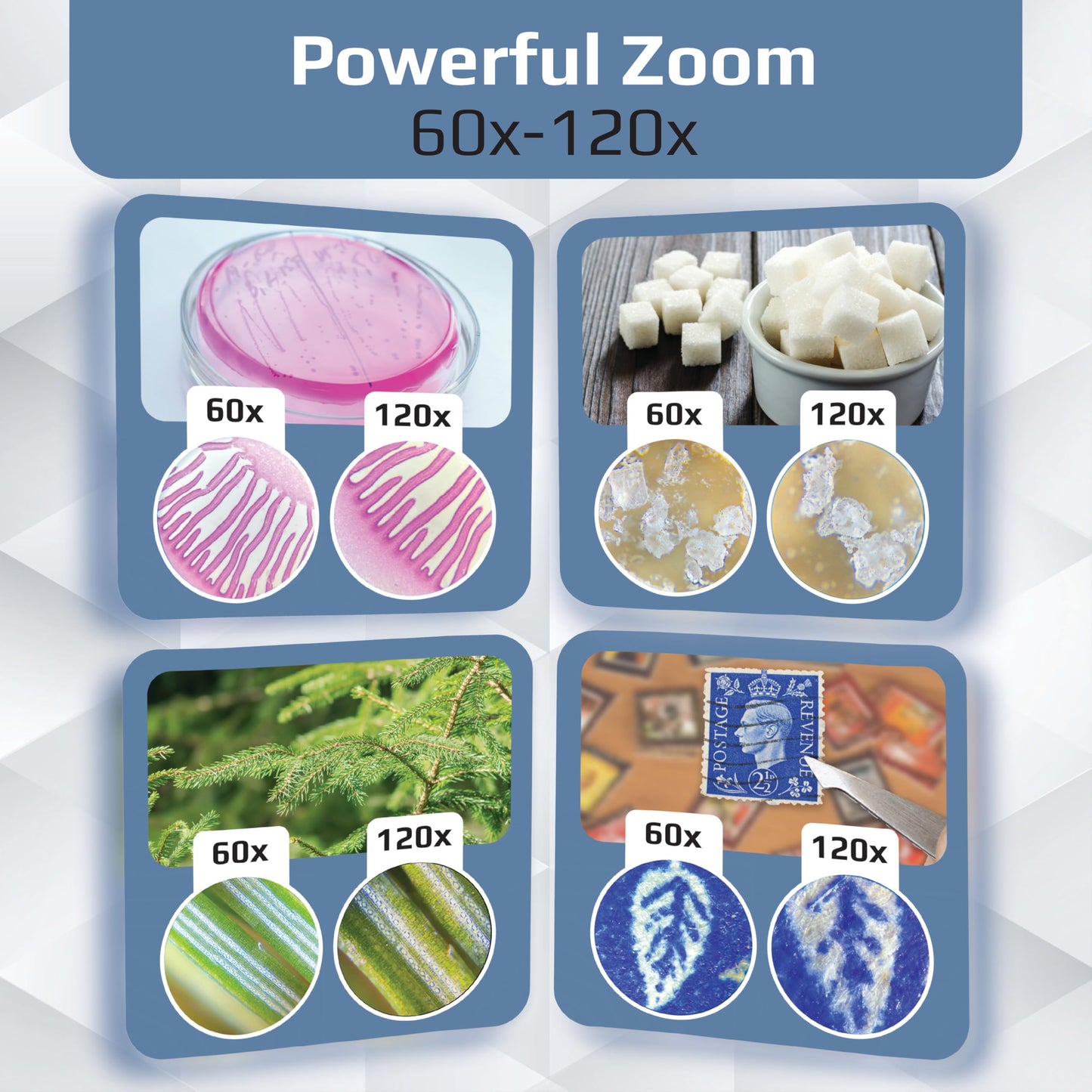 Carson MicroBrite Plus 60x-120x LED Pocket Microscope - Portable Mini Handheld Microscope for Kids & Students, STEM Science Lab Tool (MM-300)