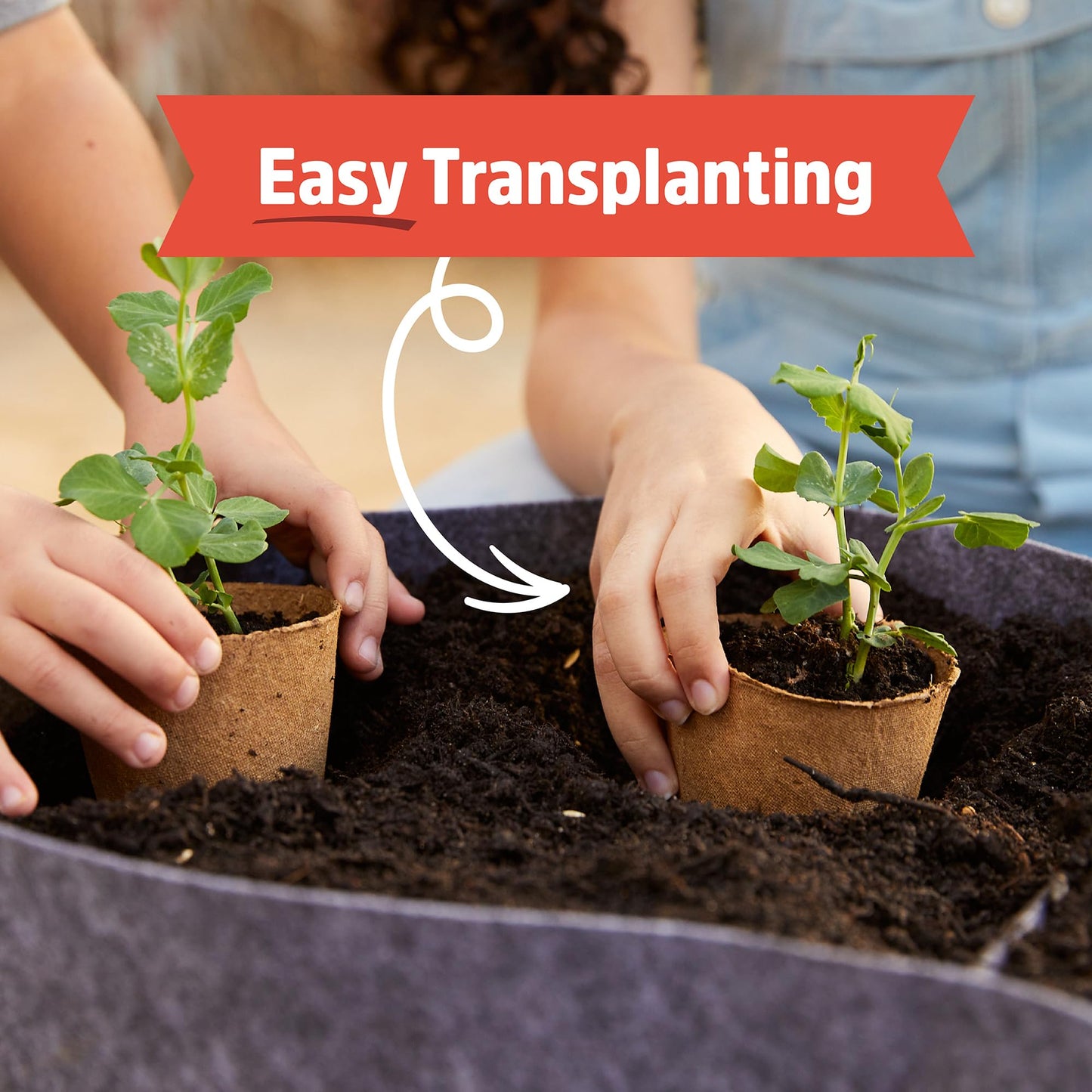 Back to the Roots Kids Science Grow Kit 2ct - Watermelon and Sunflower