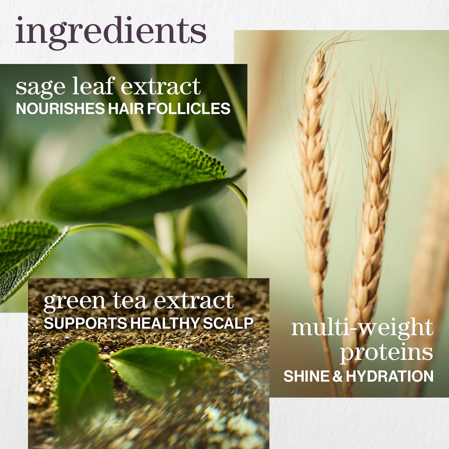 Pureology Hydrate Conditioner - For Dry or Color Treated Hair, Nourishing Conditioner to Restore Moisture and Seal in Hydration, Vegan, 9 Fl Oz