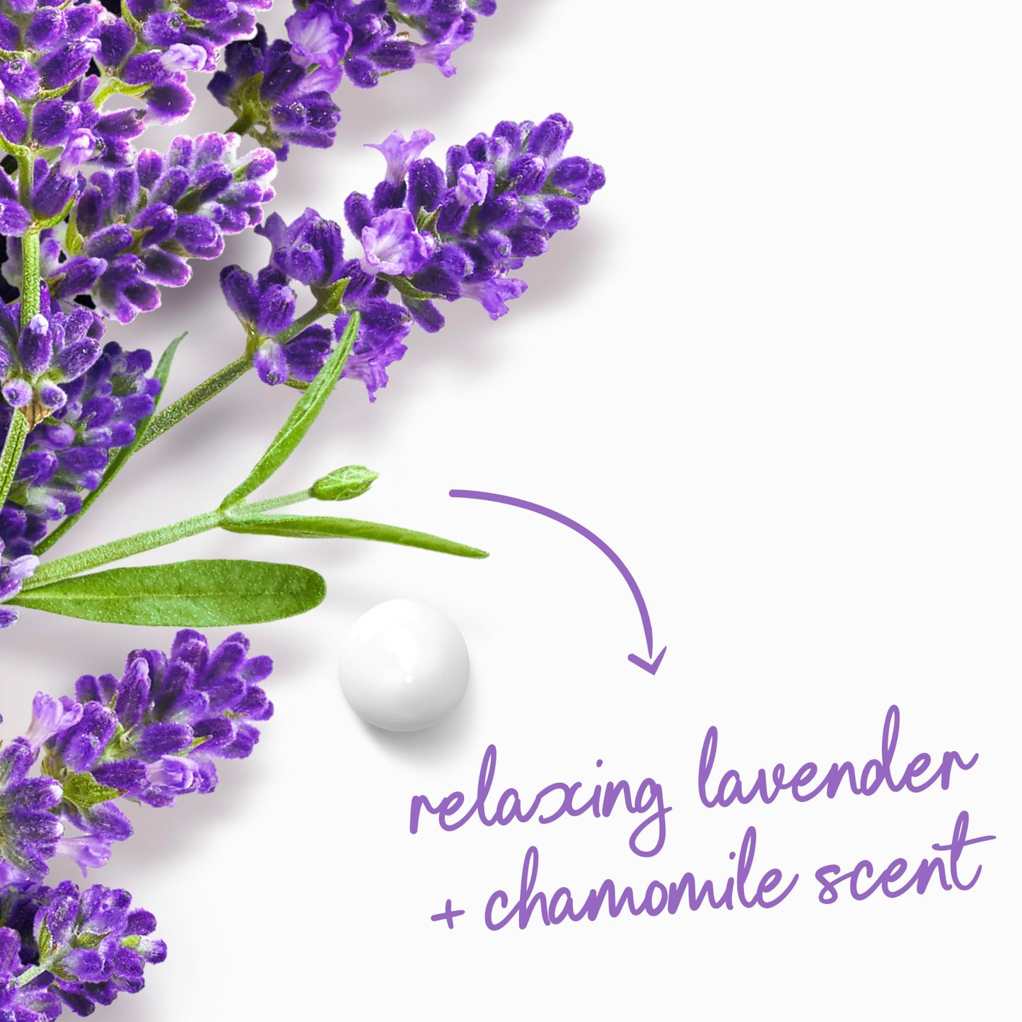 Dove Body Wash with Pump Relax Lavender Oil & Chamomile For 24hr Lotion-Soft Skin Moisturizing Skin Cleanser with No Sulfates No Parabens 30.6 Oz