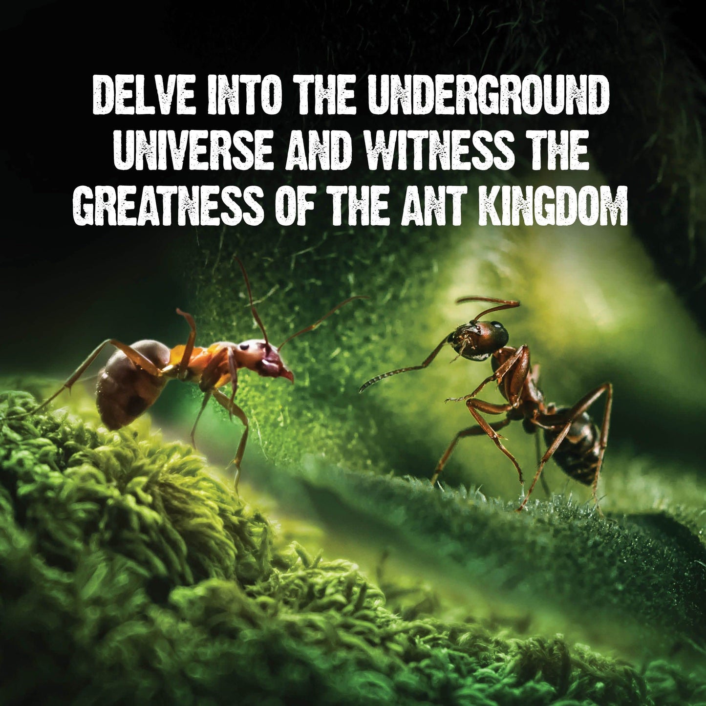 Dan&Darci Light-Up Ant Farm Kit for Kids – LED Terrarium with Nutrient Gel, Watch Ants Dig Tunnels, STEM Science & Experiment Toy Gift