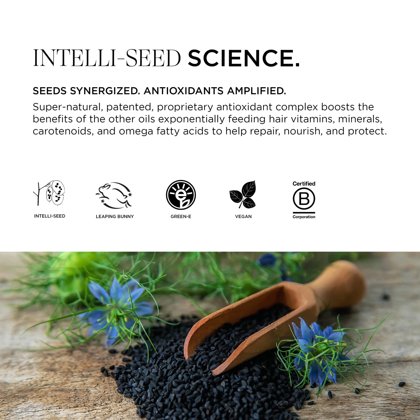 Intelligent Nutrients Shine Bright Vitamin C Hair Oil, Luxurious Radiance and Strengthening for All Hair Types, Vegan, 1.7 Oz